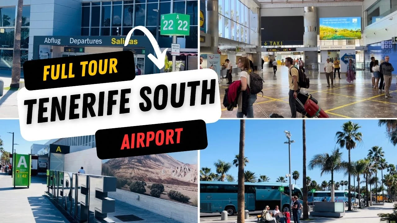 Tenerife South airport guide